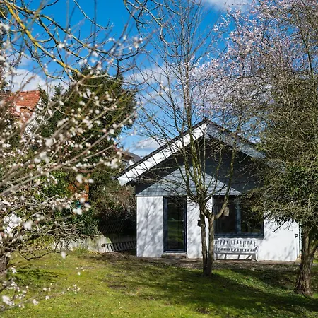 Apartmán Tiny Hauschen In Bad Bergzabern